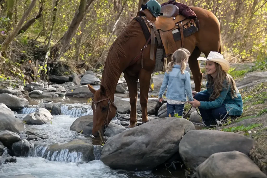 How Amber Marshall Differs from Amy Fleming