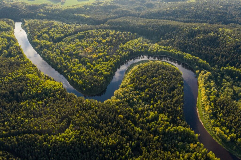 Deforestation of the Amazon has decreased In Brazil and Colombia