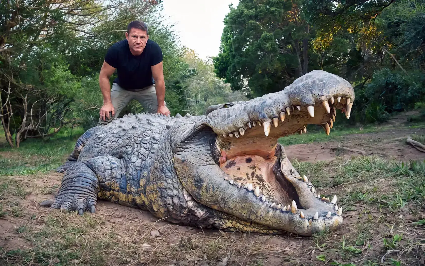 Meet Henry: The World's Oldest Crocodile in Captivity
