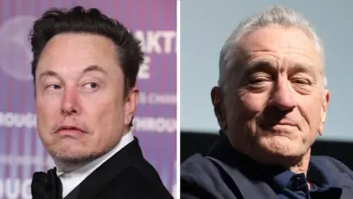 De Niro unloads on Trump, so Elon Musk whines about it