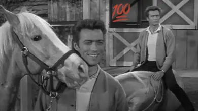 Eastwood's Unexpected Mentor: How Mister Ed Taught Him a Key Acting Lesson