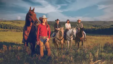 Back to the Ranch: Heartland Season 18 Release Date, Cast, & Plot