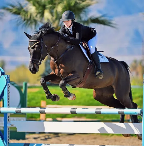 Alisha Newton as Georgie, jumping a horse over a fence in a competitive riding outfit